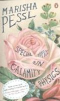 neuveden: Special Topics in Calamity Phy