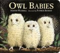 Waddell Martin: Owl Babies