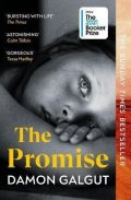 Galgut Damon: The Promise