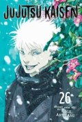 Akutami Gege: Jujutsu Kaisen, Vol. 26