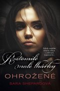 Shepardová Sara: Roztomilé malé lhářky 15 - Ohrožené