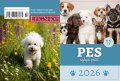 neuveden: Kalendář 2026 Pes nejlepší přítel - stolní, týdenní
