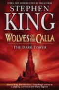King Stephen: Dark Tower 5: Wolves of Calla