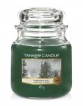 neuveden: YANKEE CANDLE Evergreen Mist svíčka 411g