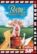 neuveden: Babe - prasátko ve městě - DVD pošeta