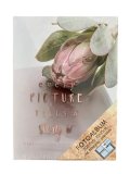 neuveden: Concorde Fotoalbum na 200 foto, 10 x 15 cm