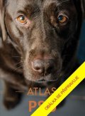 -: Atlas psů
