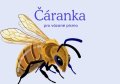 : Český jazyk - Čáranka pro vázané písmo
