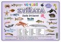 Kupka Petr: Sada 24 karet - zvířata ve vodě (A5)