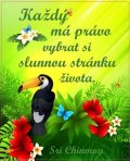 Chinmoy Sri: Plechová cedulka - Každý má právo vybrat si slunnou stránku života