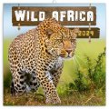 neuveden: Kalendář 2024 poznámkový: Divoká Afrika, 30 × 30 cm