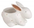 neuveden: Zajíc s květináčkem z keramiky na postavení 15,5 x 10 x 10 cm