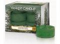 neuveden: YANKEE CANDLE Evergreen Mist svíčka 9,8g čajová 12ks