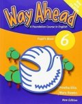 kolektiv autorů: Way Ahead (new ed.) Level 6: PB + CD-ROM Pack