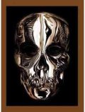 Bolton Andrew: Alexander McQueen : Savage Beauty