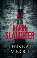 Slaughter Karin: Tenkrát v noci
