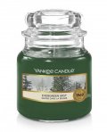 neuveden: YANKEE CANDLE Evergreen Mist svíčka 104g