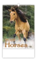 neuveden: Kalendář nástěnný 2019 - Horses/Pferde/Koně/Kone