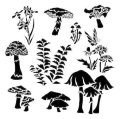 neuveden: The Crafter´s Workshop Šablona 15,2 x 15,2 cm - Whimsical Shrooms