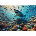neuveden: Pohlednice 3D Coral Shark