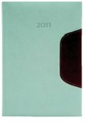 neuveden: Diář 2011 Memphis týdenní B5 - slonová kost/červen