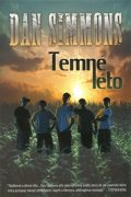 Simmons Dan: Temné léto