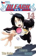 Kubo Tite: Bleach 14: White Tower Rocks