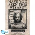 neuveden: Harry Potter Plakát Maxi: Wanted Sirius Black 91,5 x 61 cm