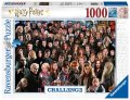neuveden: Puzzle Challenge: Harry Potter 1000 dílků