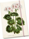 -: Notýsek Geranium - white
