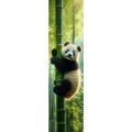 neuveden: Záložka 3D Panda AI