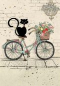 neuveden: Přání BUG ART - Kočka na kole