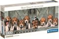 neuveden: Puzzle Panorama: Bíglové 1000 dílků