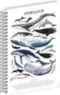: Spirálový blok Animalium - Pod mořem, linkovaný, A4