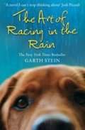 neuveden: The Art of Racing in the Rain
