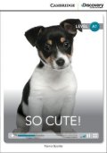 Bourke Kenna: So Cute! Beginning Book with Online Access