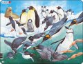 neuveden: Puzzle MAXI - Tučňáci/50 dílků