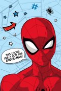 neuveden: Mikroflanelová deka - Spider-Man