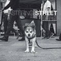 Duckett Brian Lloyd: Mastering Street Photography