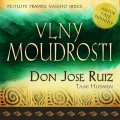Ruiz Don Miguel: Vlny moudrosti
