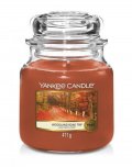 neuveden: YANKEE CANDLE Woodland Road Trip svíčka 411g