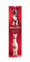 neuveden: Kalendář nástěnný 2025 - Mazlíčci