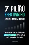 Ulvr Matěj: 7 pilířů efektivního marketingu - Jak proměnit online marketing v ziskový s