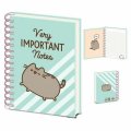 neuveden: Blok kroužkový A5 Pusheen - Very Important