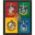 neuveden: Harry Potter Obraz 3D - barevný