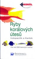 kolektiv autorů: Ryby korálových útesů