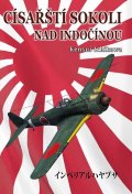 Ichikawa Kensui: Císařští sokoli nad Indočínou