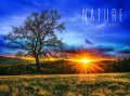 : Kalendář 2027 nástěnný: NATURE