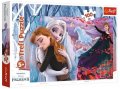 neuveden: Trefl Puzzle Frozen - Navždy spolu / 100 dílků