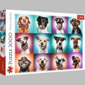 neuveden: Trefl Puzzle Legrační portréty psů II / 2000 dílků